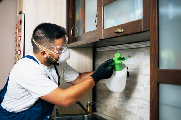Best Pest Prevention Services  in Livonia, MI