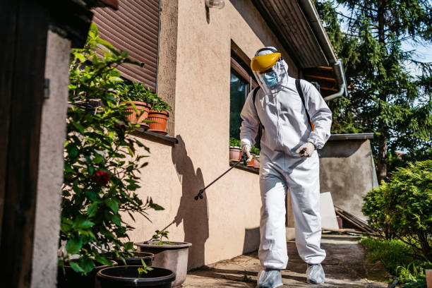 Best Bird Control  in Livonia, MI