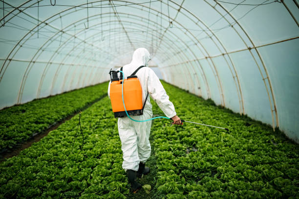 Best Pest Control Near Me  in Livonia, MI