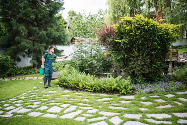 Best Affordable Pest Control Services  in Livonia, MI