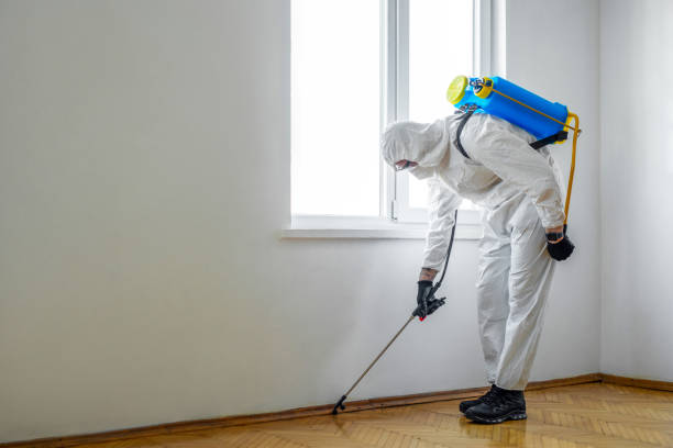 Best Cockroach Control Services  in Livonia, MI