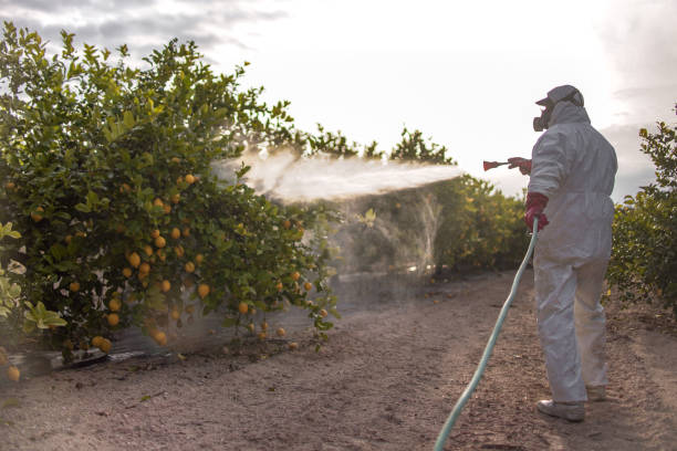 Best Residential Pest Control  in Livonia, MI