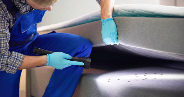 Best Best Pest Control Companies  in Livonia, MI