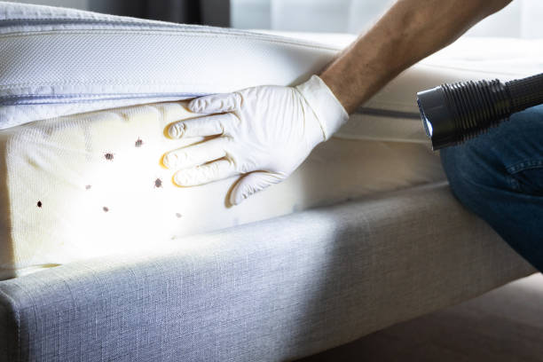 Pest Control for Restaurants in Livonia, MI