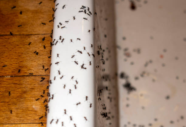 Best Wildlife Control Services  in Livonia, MI
