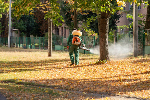 Best Flea Control Services  in Livonia, MI