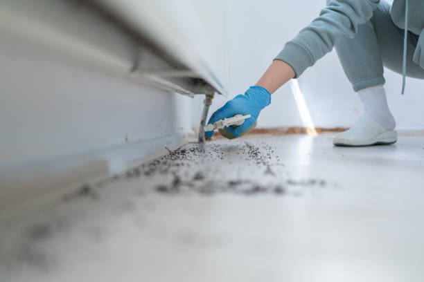 Best Rat Extermination Near Me  in Livonia, MI